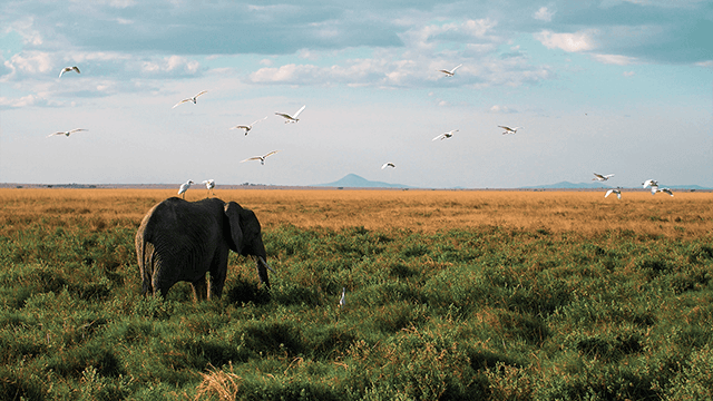 60+个旅拍vlog探索电影旅行 LUT调色预设 EXPLORE | CINEMATIC TRAVEL LUTS 插件预设 第9张-素材湾丨精选海外优质设计素材资源 60+个旅拍vlog探索电影旅行 LUT调色预设 EXPLORE | CINEMATIC TRAVEL LUTS 插件预设 sucaiwan.com