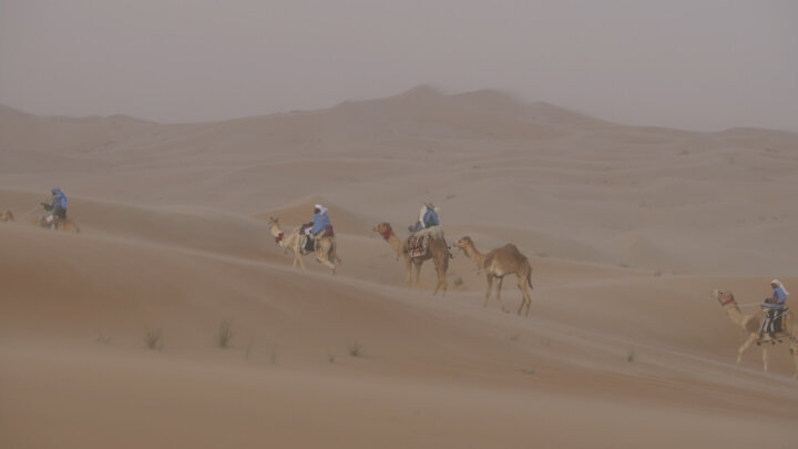 60+个旅拍vlog探索电影旅行 LUT调色预设 EXPLORE | CINEMATIC TRAVEL LUTS 插件预设 第12张-素材湾丨精选海外优质设计素材资源 60+个旅拍vlog探索电影旅行 LUT调色预设 EXPLORE | CINEMATIC TRAVEL LUTS 插件预设 sucaiwan.com