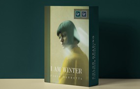 PAOLO BARRETTA 电影级冷色调恐怖氛围分级LR调色预设 IAMWINTER COLOR GRADING PRESETS