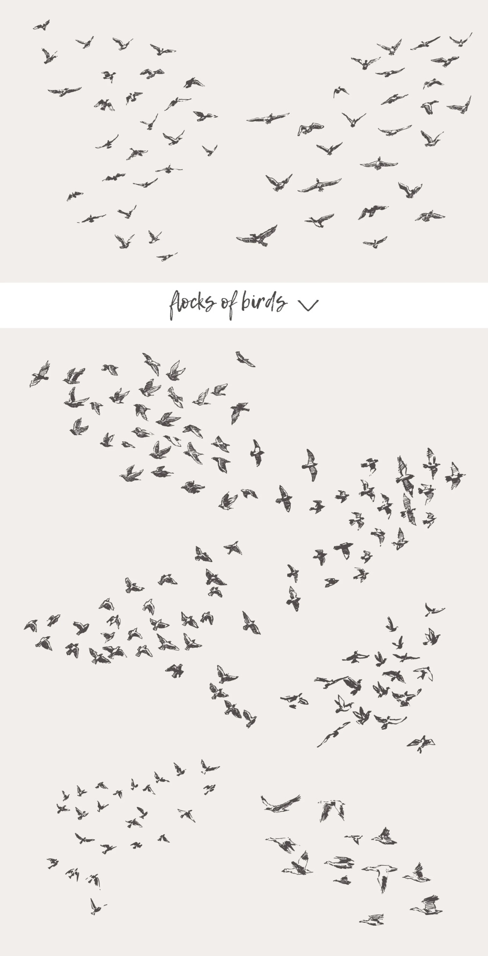 21种森林动物海洋生物插图矢量素材 图片素材 第4张-素材湾丨精选海外优质设计素材资源 21种森林动物海洋生物插图矢量素材 图片素材 sucaiwan.com