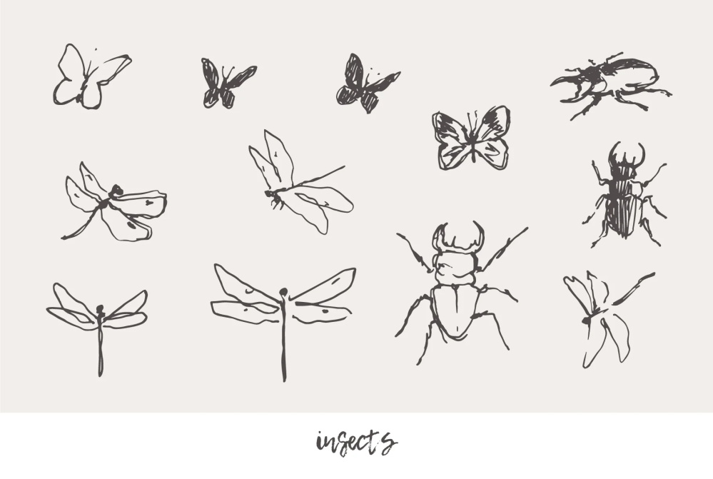 21种森林动物海洋生物插图矢量素材 图片素材 第11张-素材湾丨精选海外优质设计素材资源 21种森林动物海洋生物插图矢量素材 图片素材 sucaiwan.com