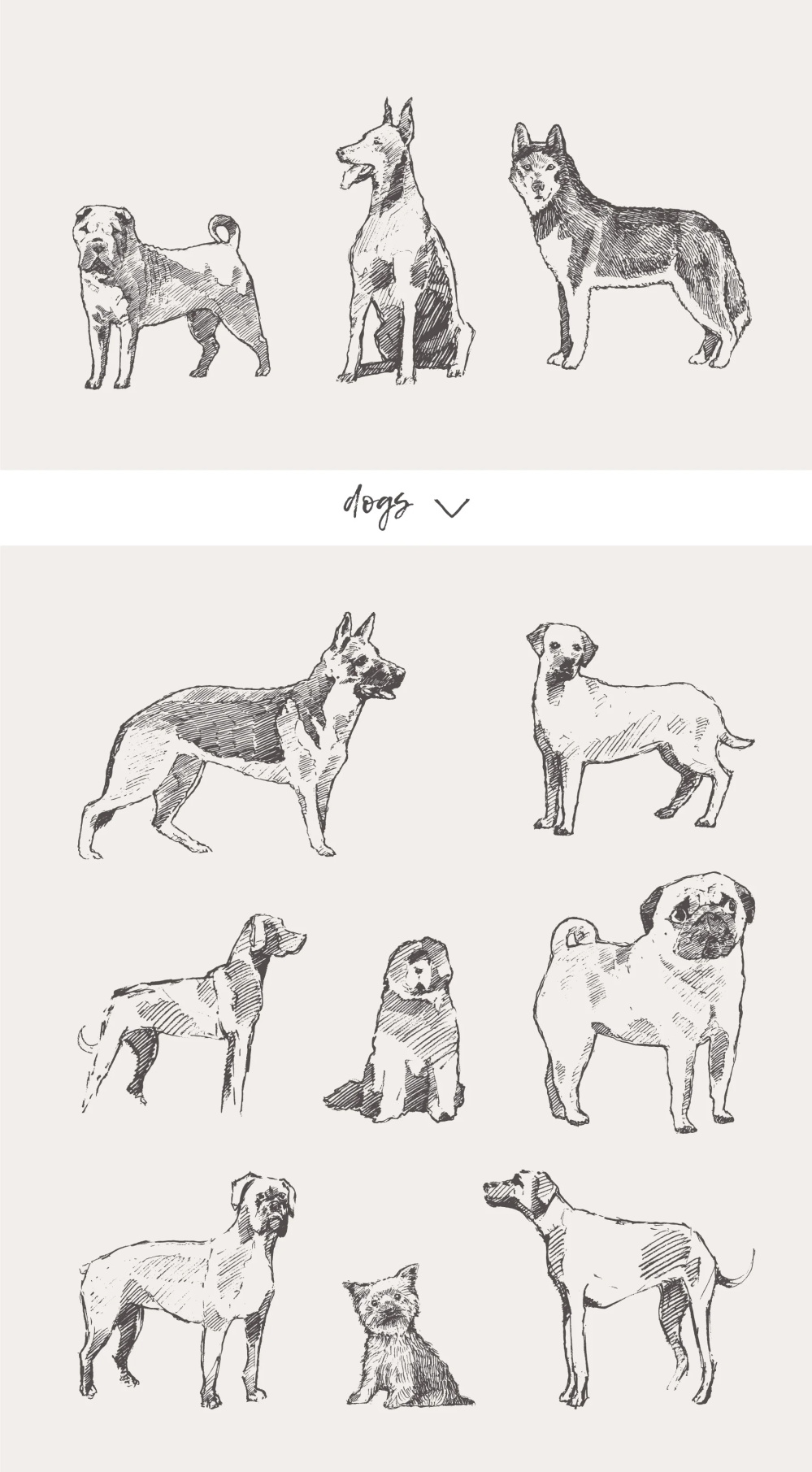 21种森林动物海洋生物插图矢量素材 图片素材 第18张-素材湾丨精选海外优质设计素材资源 21种森林动物海洋生物插图矢量素材 图片素材 sucaiwan.com