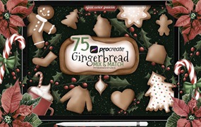 75个圣诞姜饼图案和纹理Procreate笔刷