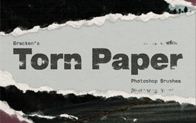 PS笔刷:潮流做旧逼真撕纸粗糙边缘撕裂肌理纹路毛边质感Photoshop笔刷 Bracken Torn