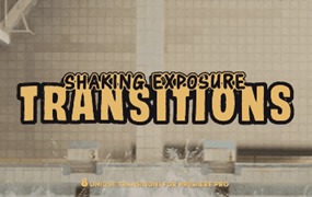 PR模板:8种长曝光摄影电影情绪风格抽帧拖影转场模板包