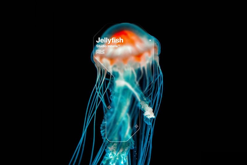 漂亮的玻璃拟态风格遮罩特效PS图层样式 插件预设 sucaiwan.com