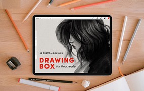 Procreate数字绘画笔刷套装