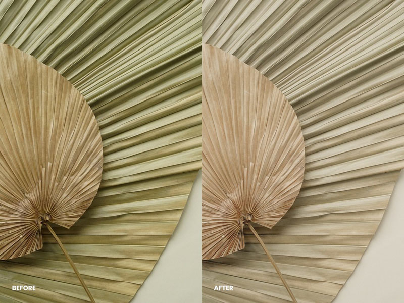 自然明亮清新人像温暖色调摄影后期调色Lightroom预设 插件预设 第6张-素材湾丨精选海外优质设计素材资源 自然明亮清新人像温暖色调摄影后期调色Lightroom预设 插件预设 sucaiwan.com