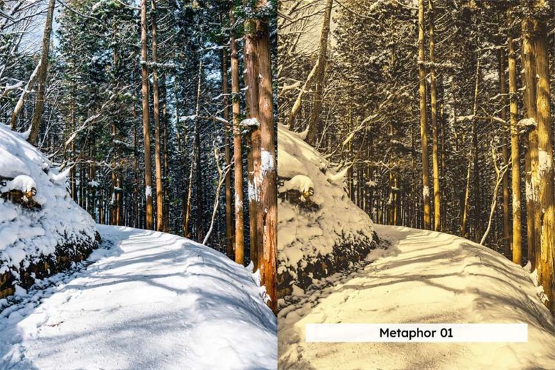 金色风格光芒四射摄影后期Lightroom预设及电影调色LUT预设 插件预设 第3张-素材湾丨精选海外优质设计素材资源 金色风格光芒四射摄影后期Lightroom预设及电影调色LUT预设 插件预设 sucaiwan.com