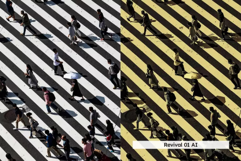 金色风格光芒四射摄影后期Lightroom预设及电影调色LUT预设 插件预设 第8张-素材湾丨精选海外优质设计素材资源 金色风格光芒四射摄影后期Lightroom预设及电影调色LUT预设 插件预设 sucaiwan.com