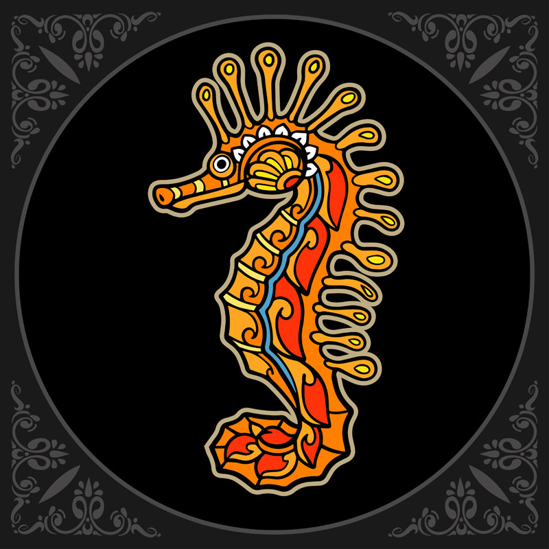 8款曼陀罗艺术风格狐狸和海马矢量插图 图片素材 sucaiwan.com