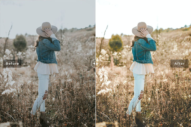 夏季草丛中摄影增强Lightroom预设 插件预设 第3张-素材湾丨精选海外优质设计素材资源 夏季草丛中摄影增强Lightroom预设 插件预设 sucaiwan.com