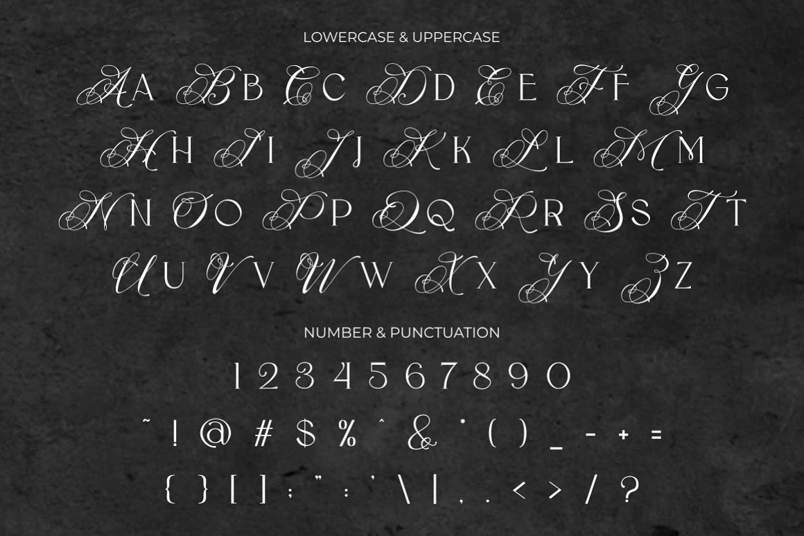 英文字体：现代优雅奢华婚礼邀请函杂志海报标题LOGO徽标设计PSAI衬线字体 Flece Display – Modern Sans Font . sucaiwan.com