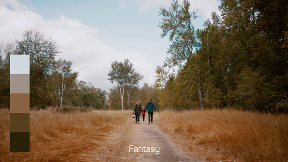 50个深沉剧情叙事大气震撼电影美学色彩分级LUT调色预设 Color Finale – Cinematic Pack One Luts . sucaiwan.com