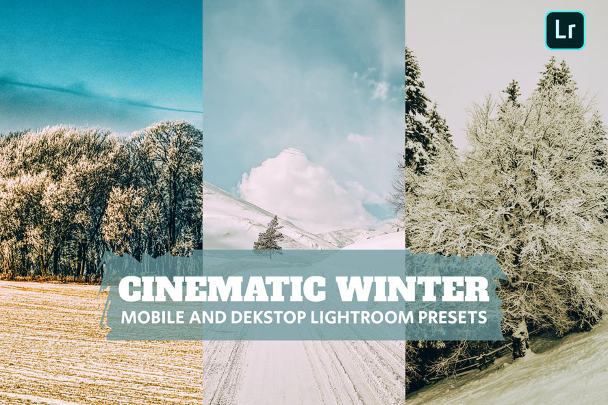 冬季摄影电影色调XMP/DNG移动Lightroom预设 插件预设 sucaiwan.com