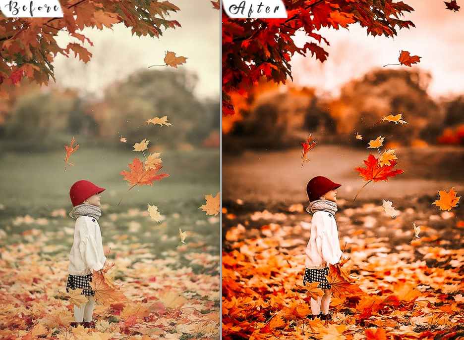 4款HDR秋季暖色调LR电脑端和DNG手机端预设 插件预设 sucaiwan.com