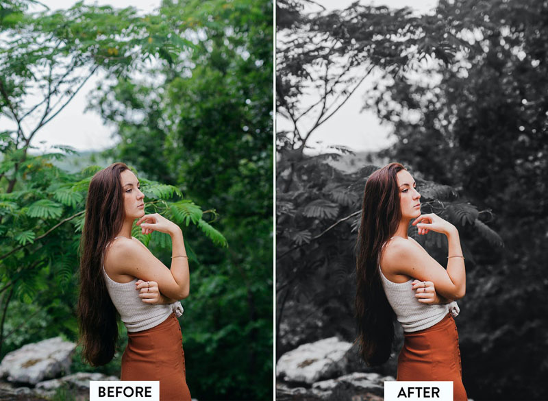 10种人物情绪黑色电影色调Lightroom 预设 插件预设 第5张-素材湾丨精选海外优质设计素材资源 10种人物情绪黑色电影色调Lightroom 预设 插件预设 sucaiwan.com