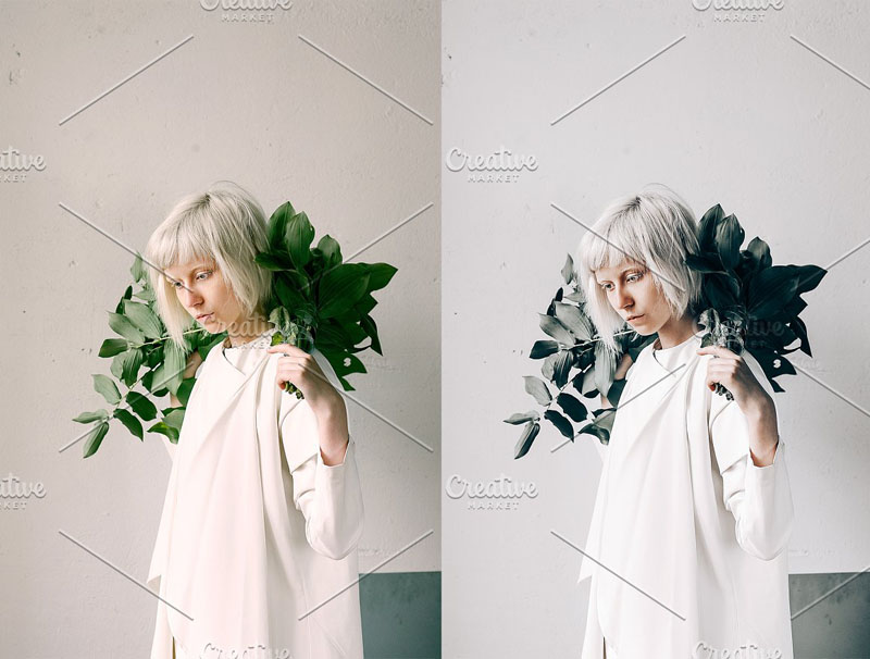 12款奶油白色调XMP/DNG/Lightroom预设 插件预设 sucaiwan.com