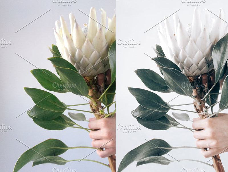 12款奶油白色调XMP/DNG/Lightroom预设 插件预设 sucaiwan.com