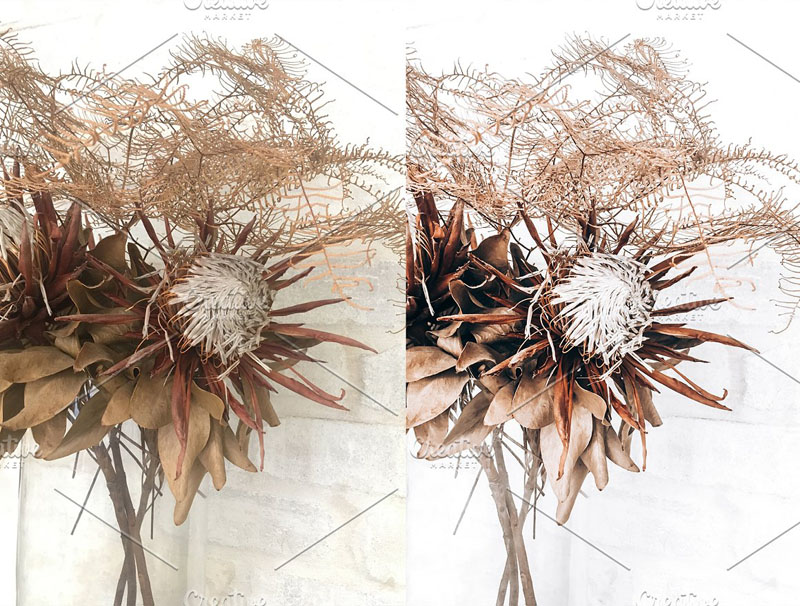 12款奶油白色调XMP/DNG/Lightroom预设 插件预设 sucaiwan.com