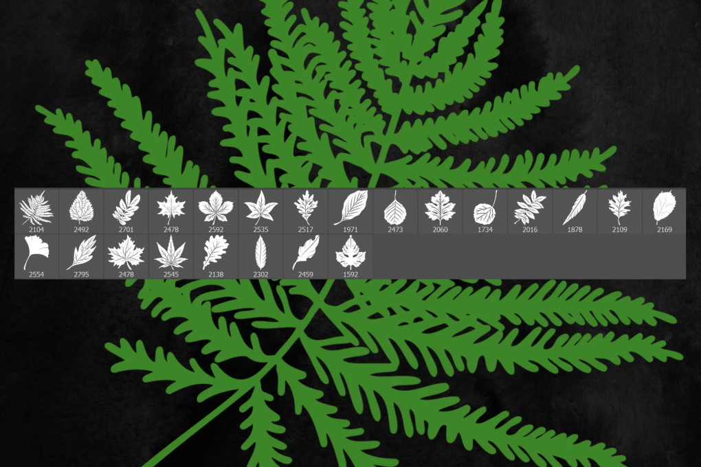 24款多种树叶植物叶子PS笔刷 笔刷资源 sucaiwan.com