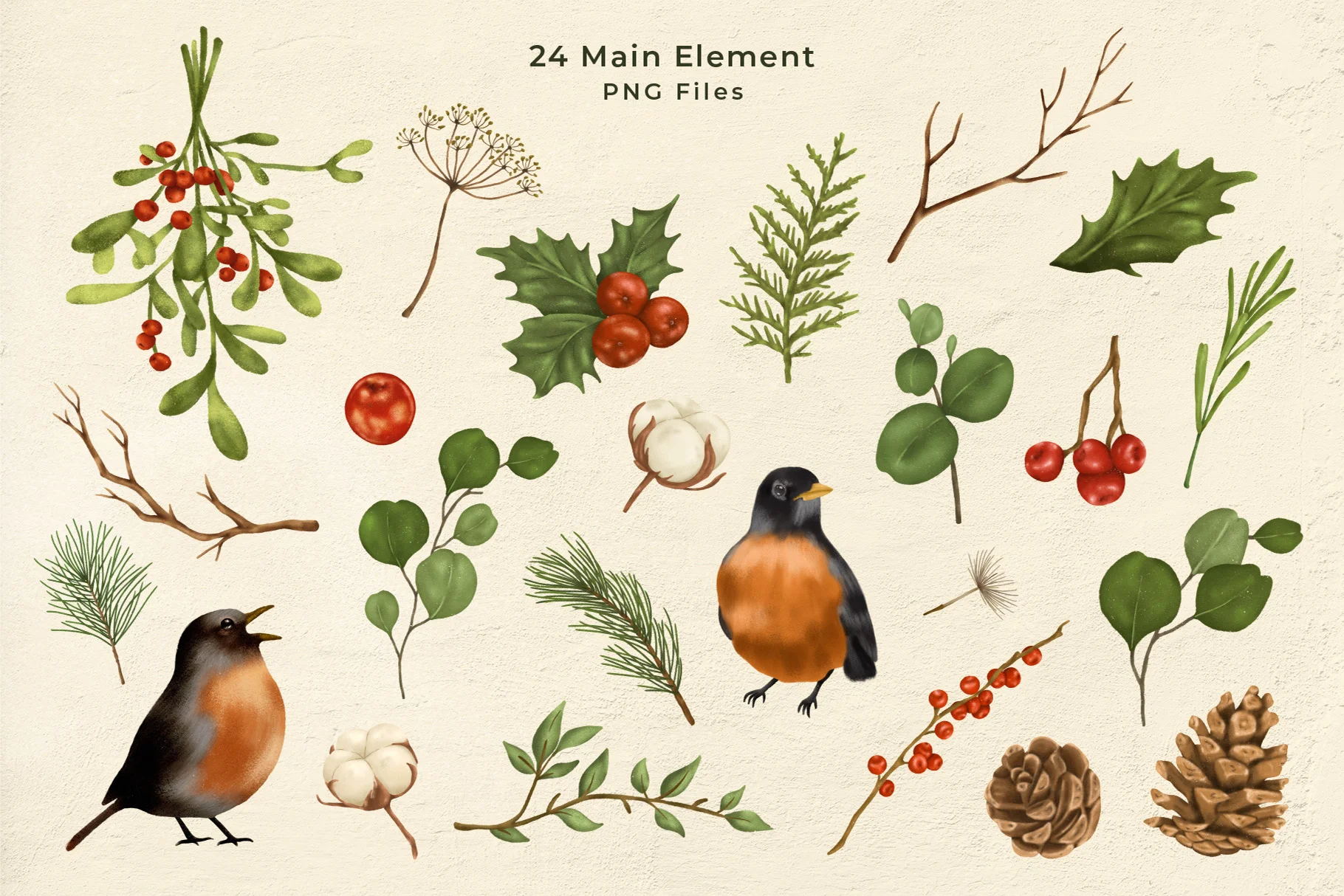 24款冬青叶 松针 知更鸟和圣诞花环PSD插图剪贴画 图片素材 sucaiwan.com