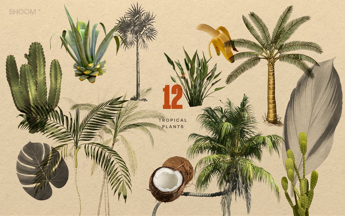 90多个复古假期美式拼贴艺术剪贴画剪报剪纸撕纸植物动物人物物品景观PNG免扣背景设计套装 Vintage Vacay Collage Kit by SHOOM HOUS 图片素材 第7张-素材湾丨精选海外优质设计素材资源 90多个复古假期美式拼贴艺术剪贴画剪报剪纸撕纸植物动物人物物品景观PNG免扣背景设计套装 Vintage Vacay Collage Kit by SHOOM HOUS 图片素材 sucaiwan.com