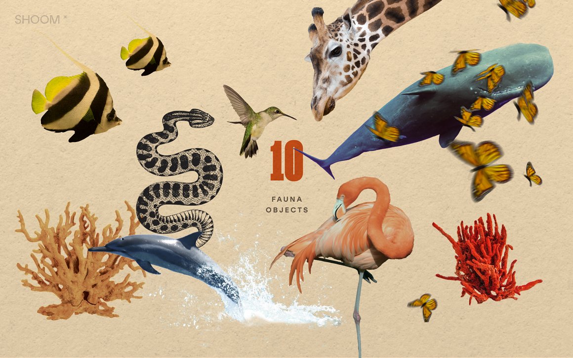 90多个复古假期美式拼贴艺术剪贴画剪报剪纸撕纸植物动物人物物品景观PNG免扣背景设计套装 Vintage Vacay Collage Kit by SHOOM HOUS 图片素材 第8张-素材湾丨精选海外优质设计素材资源 90多个复古假期美式拼贴艺术剪贴画剪报剪纸撕纸植物动物人物物品景观PNG免扣背景设计套装 Vintage Vacay Collage Kit by SHOOM HOUS 图片素材 sucaiwan.com