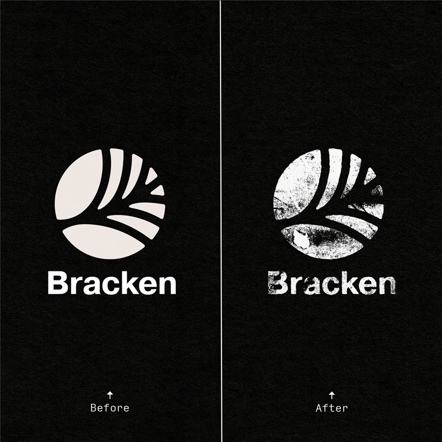 潮流做旧粗糙颗粒油墨打印纹理标签动作PS设计素材工具包 Printed Textures bracken . 第6张-素材湾丨精选海外优质设计素材资源 潮流做旧粗糙颗粒油墨打印纹理标签动作PS设计素材工具包 Printed Textures bracken . sucaiwan.com