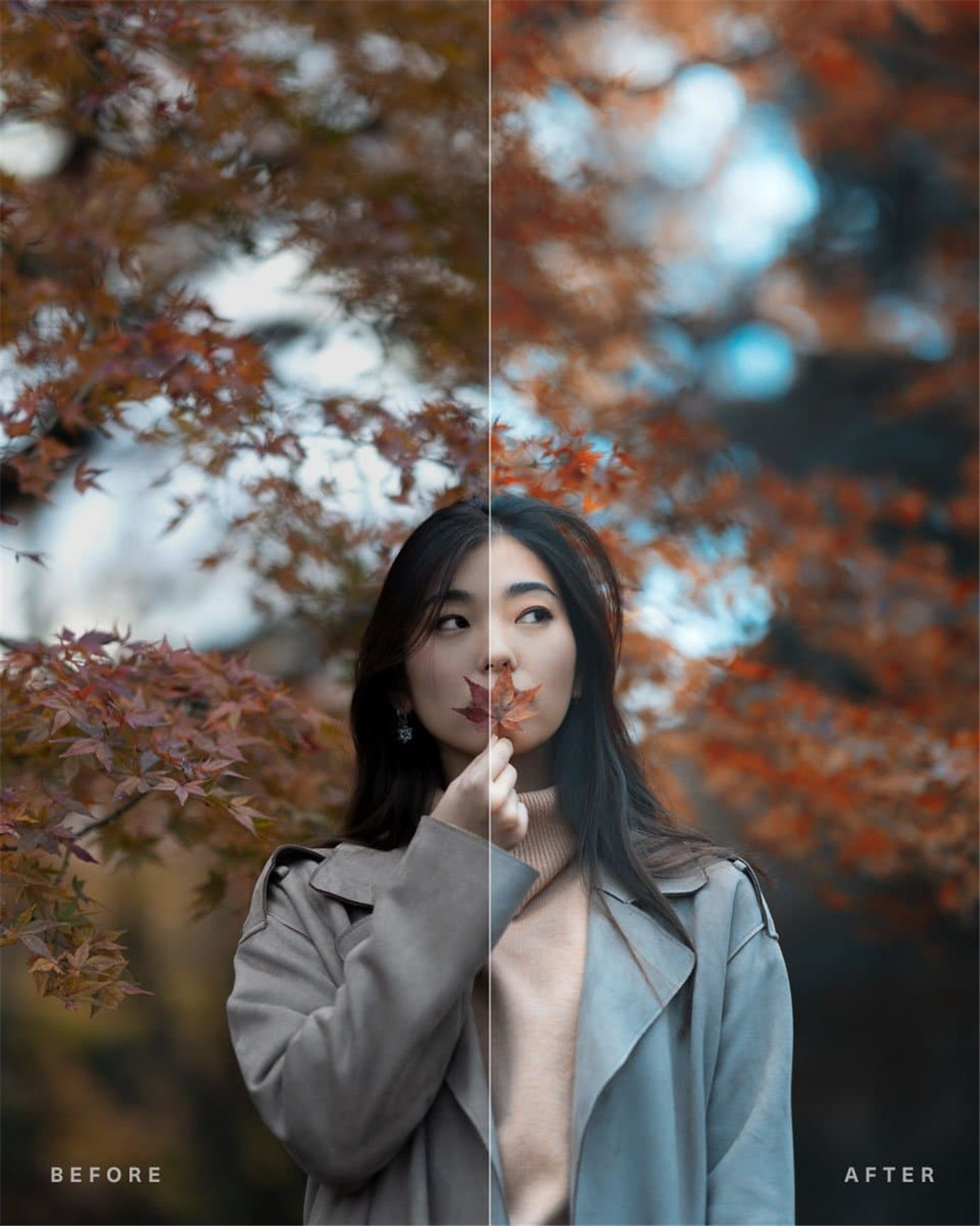 Pat Kay – Portrait Presets 清新日系风格人像写真摄影LR调色预设 . sucaiwan.com