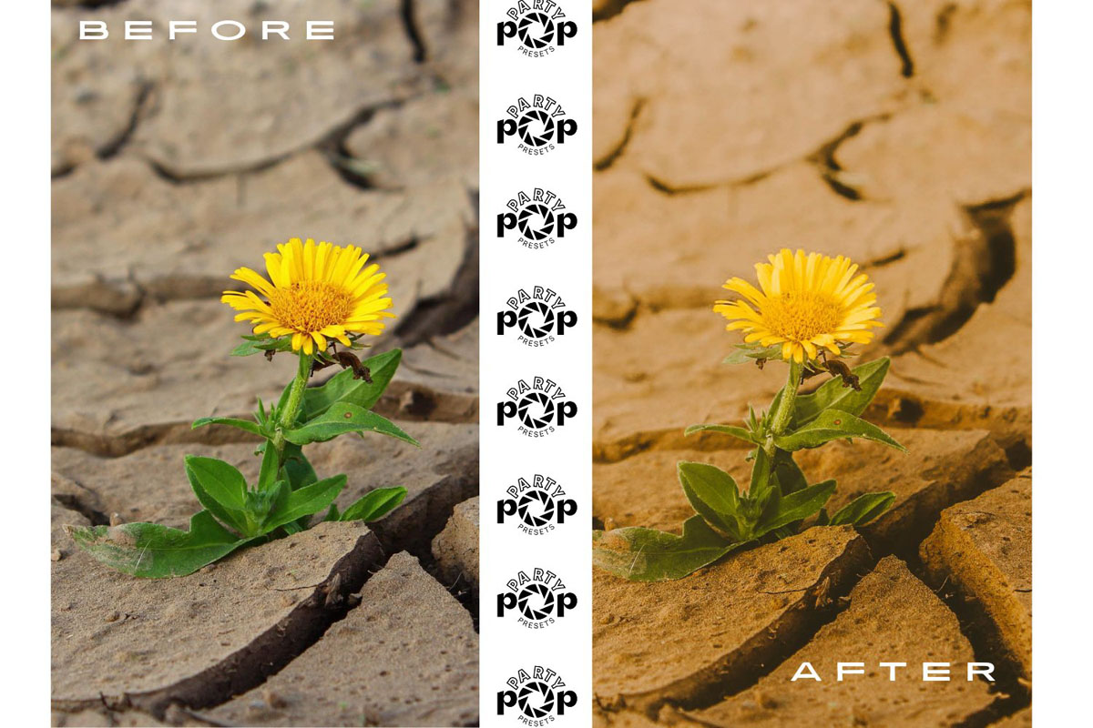 10款暖金色发光Lightroom预设 APP UI sucaiwan.com