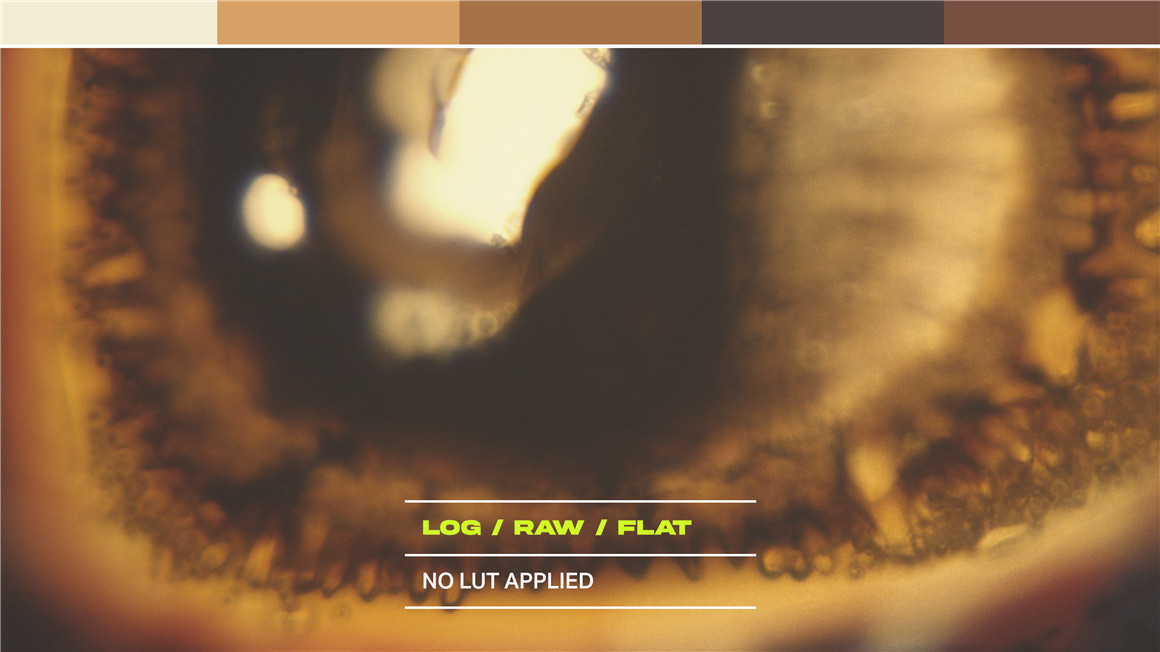 《奥本海默》真实紧迫感电影美学色彩分级LUT调色预设 Tropic Colour - Oppenheimer looks 插件预设 第9张-素材湾丨精选海外优质设计素材资源 《奥本海默》真实紧迫感电影美学色彩分级LUT调色预设 Tropic Colour - Oppenheimer looks 插件预设 sucaiwan.com