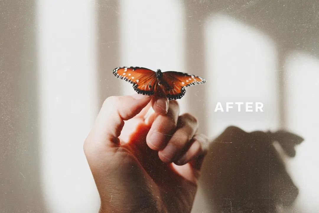 Vintage Film 34个复古胶卷电影灰尘划痕纹理包+Lightroom预设 插件预设 sucaiwan.com