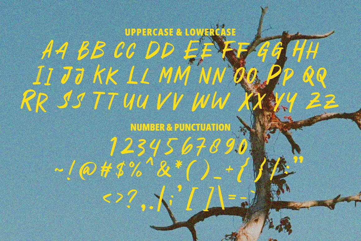英文字体：复古邀请函包装海报标题设计手写毛笔英文字体 Dustine Brush Font . sucaiwan.com