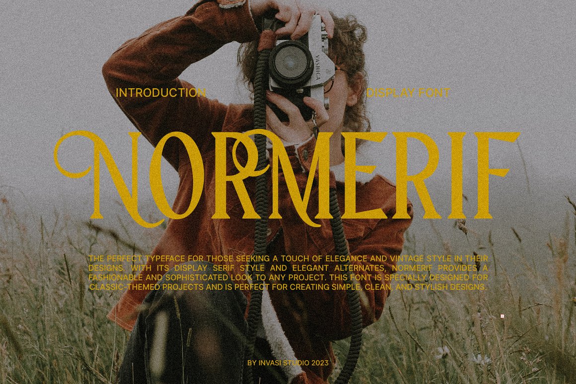 现代奢华优雅艺术花体杂志标题排版衬线字体 Normerif - Elegant Display Serif . sucaiwan.com