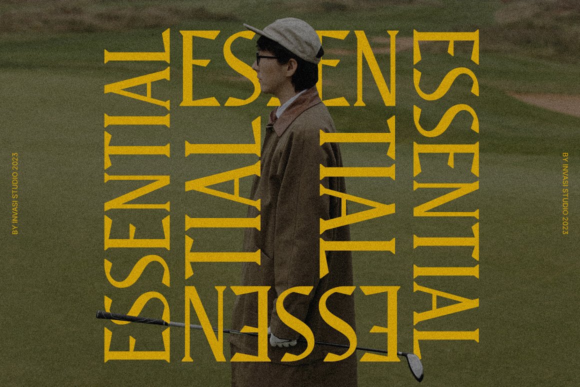 现代奢华优雅艺术花体杂志标题排版衬线字体 Normerif - Elegant Display Serif . sucaiwan.com