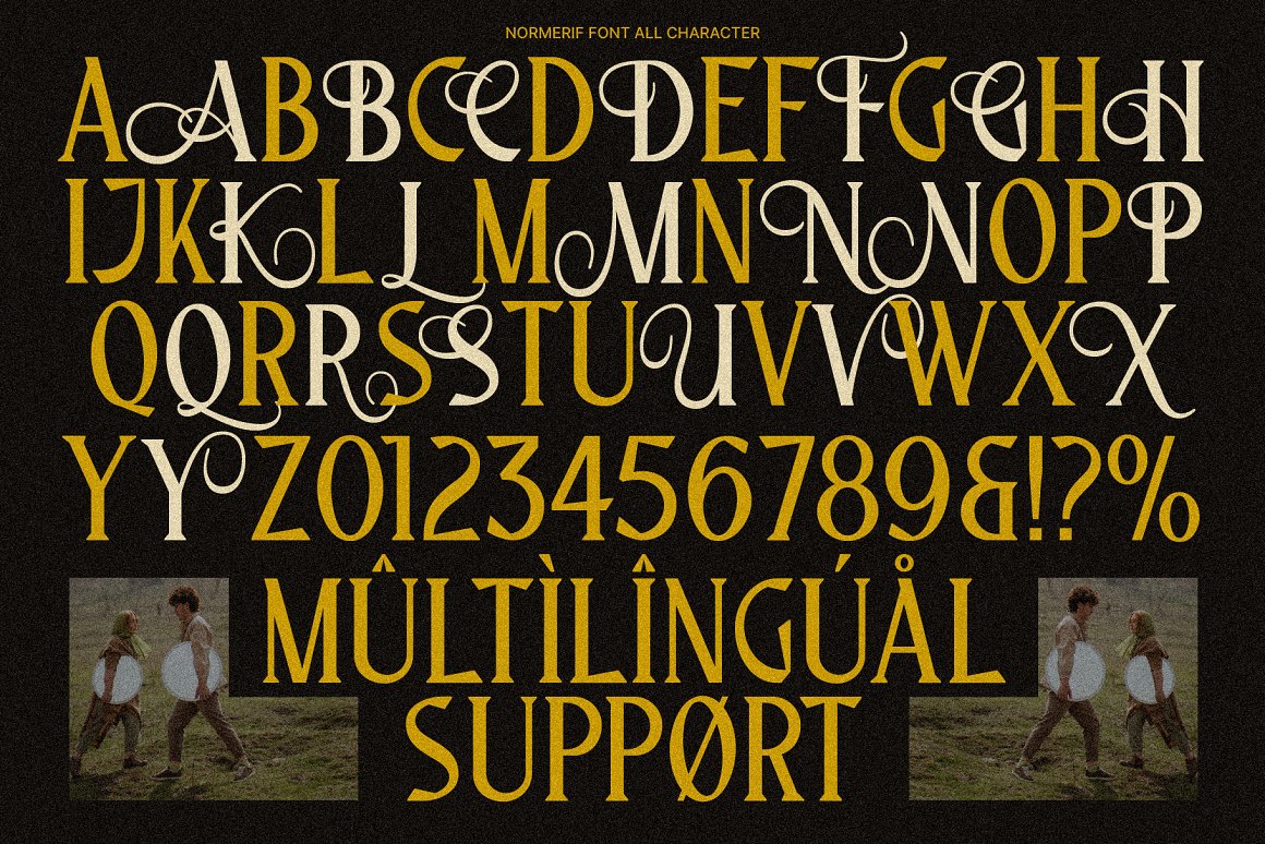现代奢华优雅艺术花体杂志标题排版衬线字体 Normerif - Elegant Display Serif . sucaiwan.com