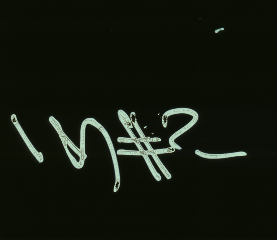 Tropic colour 复古CRT胶片高分辨率灰尘污垢电影视频素材 FILM ARTIFACTS 影视音频 第8张-素材湾丨精选海外优质设计素材资源 Tropic colour 复古CRT胶片高分辨率灰尘污垢电影视频素材 FILM ARTIFACTS 影视音频 sucaiwan.com