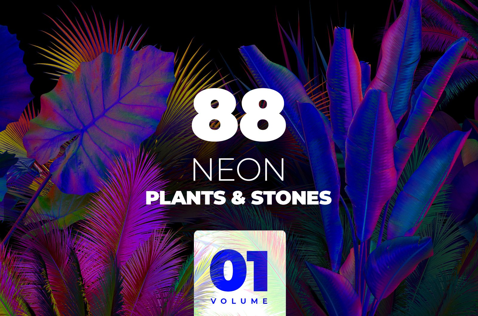 88种热带霓虹灯植物石头自然元素系列PNG素材 ARKS ACADEMY NEON_plants_&_stones_collection 图片素材 sucaiwan.com