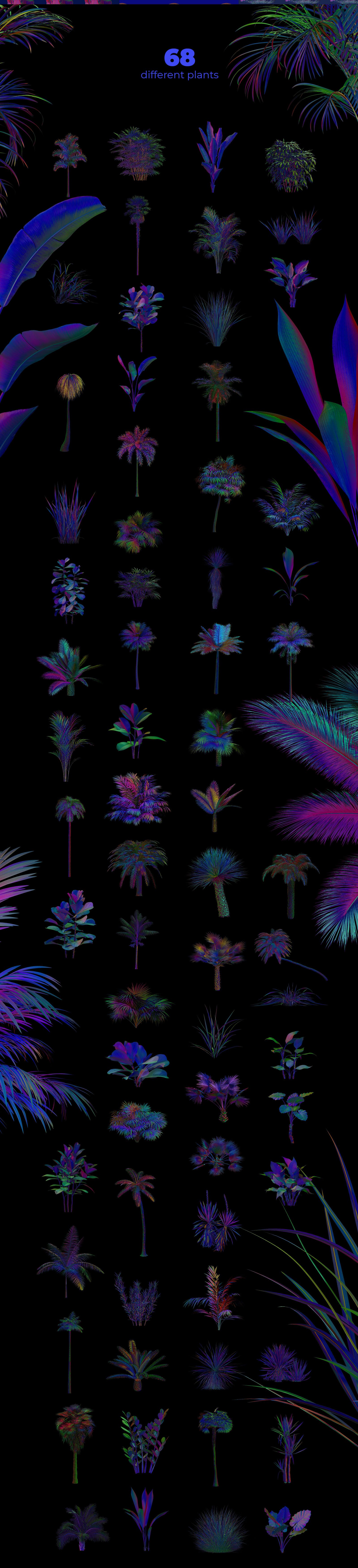 88种热带霓虹灯植物石头自然元素系列PNG素材 ARKS ACADEMY NEON_plants_&_stones_collection 图片素材 sucaiwan.com