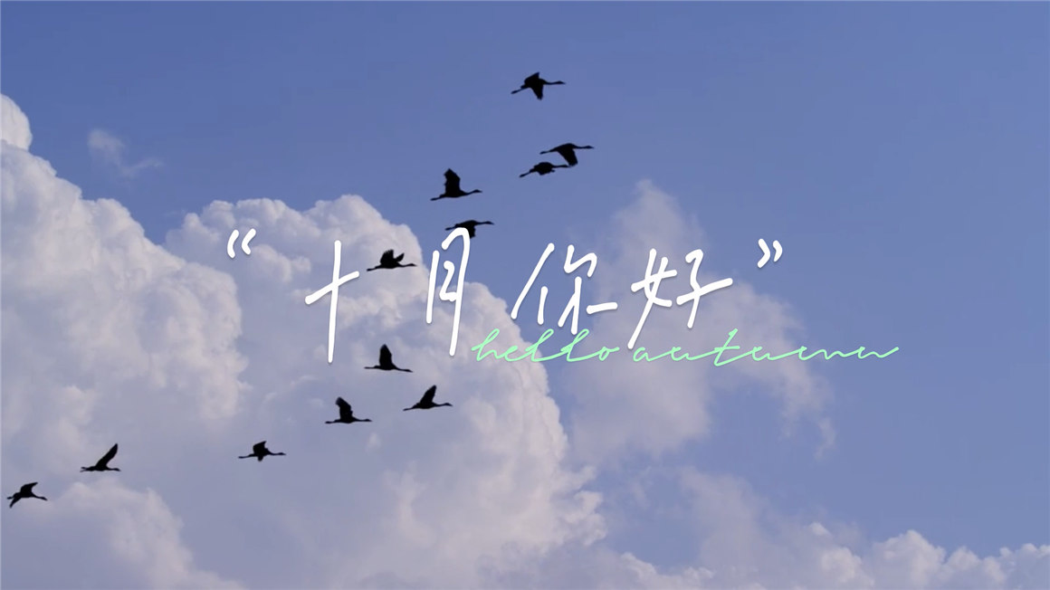 复古怀旧趣味胶片质感老式电影放映机抖动闪烁转场过渡视频叠加素材+音效 影视音频 第2张-素材湾丨精选海外优质设计素材资源 复古怀旧趣味胶片质感老式电影放映机抖动闪烁转场过渡视频叠加素材+音效 影视音频 sucaiwan.com