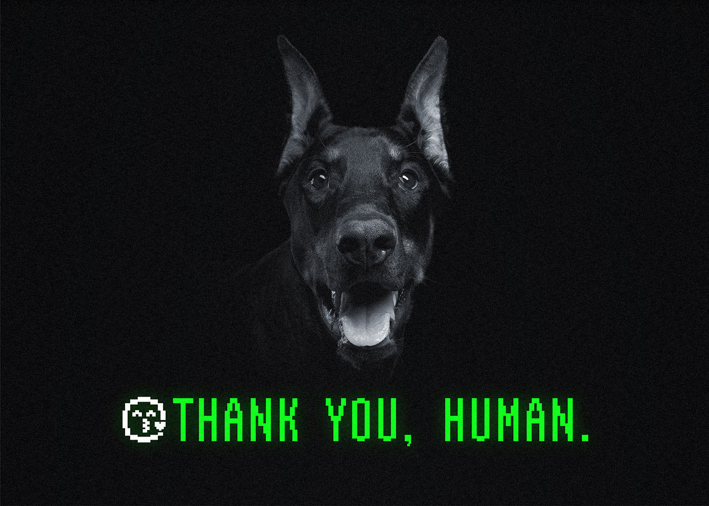 复古有趣像素风艺术美学位图海报设计英文字体包 设计素材 第7张-素材湾丨精选海外优质设计素材资源 复古有趣像素风艺术美学位图海报设计英文字体包 设计素材 sucaiwan.com