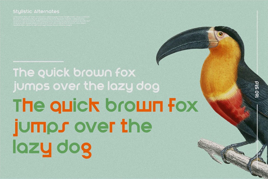 现代干净标志英文字体适用于标题、徽标和海报 Blont 设计素材 sucaiwan.com