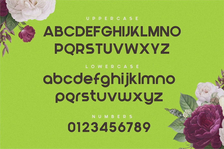 现代干净标志英文字体适用于标题、徽标和海报 Blont 设计素材 sucaiwan.com