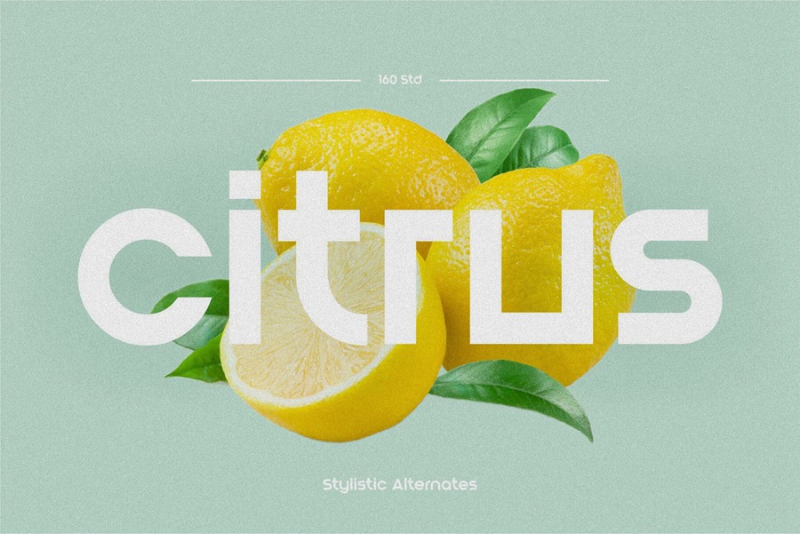 现代干净标志英文字体适用于标题、徽标和海报 Blont 设计素材 sucaiwan.com