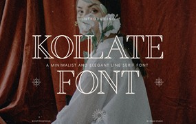 英文字体：夏日氛围感趣味现代极简标题排版无衬线装饰字体 Kollate - Line Display Serif