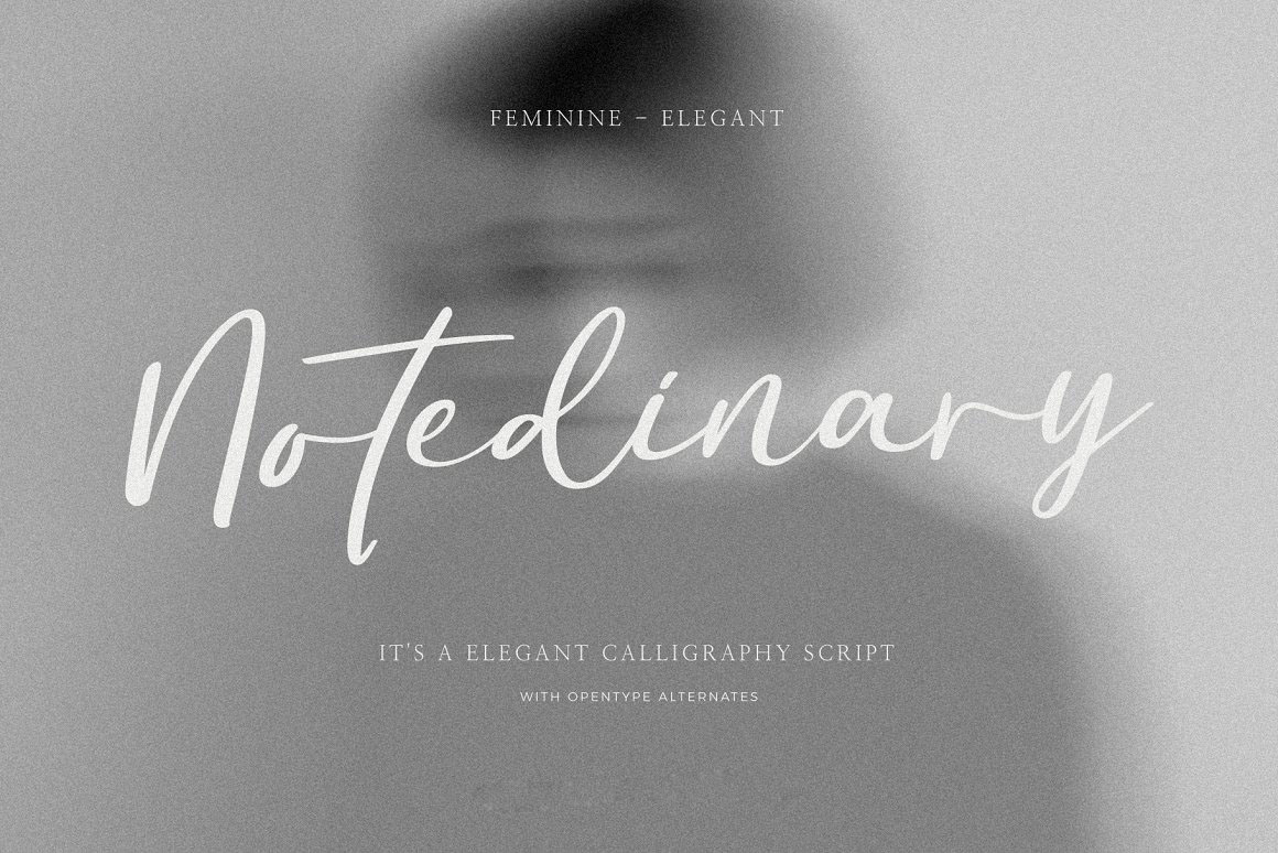 英文字体:现代奢华优雅流畅潇洒手写标题婚礼品牌请柬排版字体 Notedinary - Script Calligraphy . 第1张-素材湾丨精选海外优质设计素材资源 英文字体:现代奢华优雅流畅潇洒手写标题婚礼品牌请柬排版字体 Notedinary - Script Calligraphy . sucaiwan.com