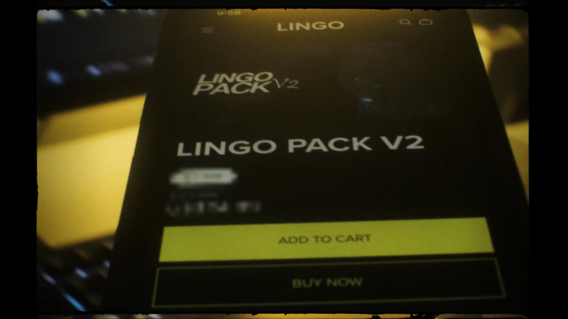 300个嘻哈说唱画面摇晃旋转定格运动AE预设效果包 LINGO PACK V2 插件预设 sucaiwan.com