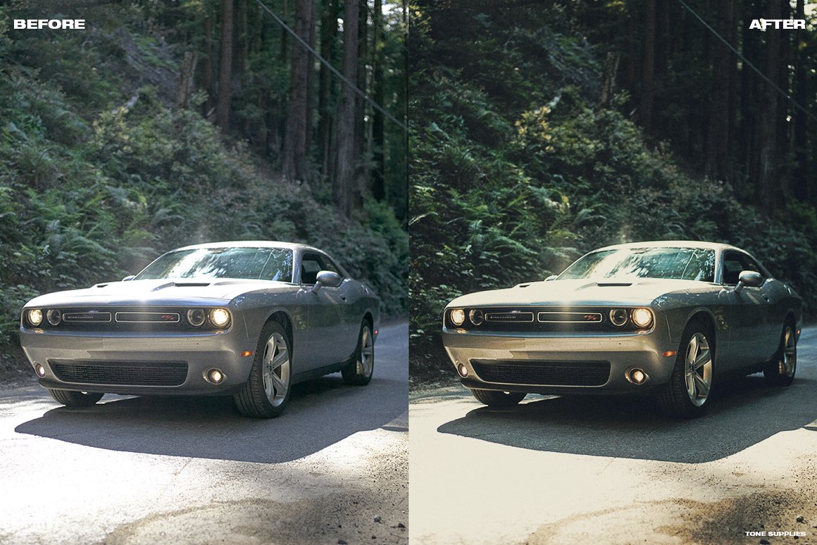 TONE SUPPLIES 90年代复古电影质感人像拍摄LUT调色预设 插件预设 sucaiwan.com