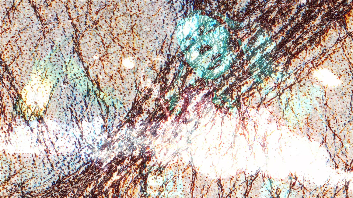 Acidbite DISSECTED TEXTURES 做旧粗糙垃圾美学纸张金属划痕材料混合叠加纹理视频素材 影视音频 sucaiwan.com